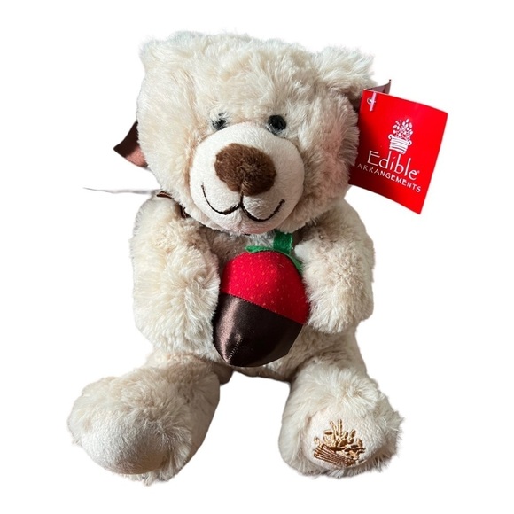 Edible Arrangements‎ Berry Loved Bear Plush Stuffed Animal Toy 10” with tag - Picture 1 of 8